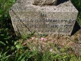 image of grave number 203083